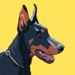 Doberan Pinscher dibujo by Volha Kavalenkava © 123RF.com