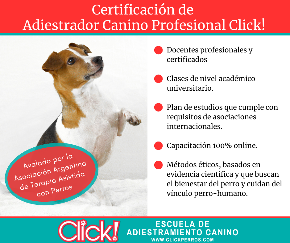 donde estudiar para ser adiestrador de perros