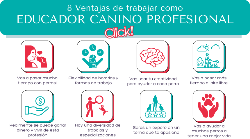 como ser adiestrador de perros, ventajas de ser adiestrador canino